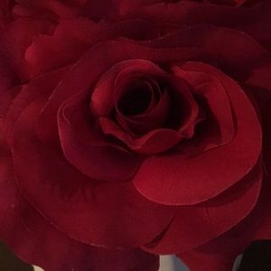 Meet your Posher, Rocio